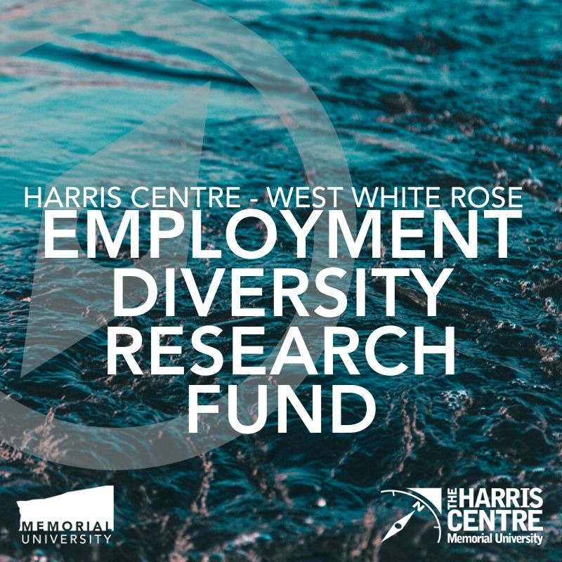 Diversity Fund Ad