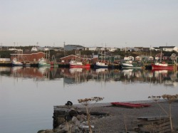 Fishing vessels at the government wharf in Port au Choix (credit: Sandee Thomas)
