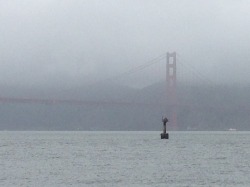 The Golden Gate Bridge, Caitlin Piercey