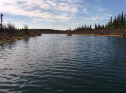 Sally Western, Yellowknife