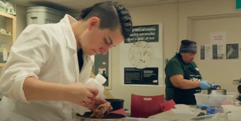 Dr. Max Liboiron (foreground) and Liz Pijogge (background) work together on plastics research at a table in a laboratory.