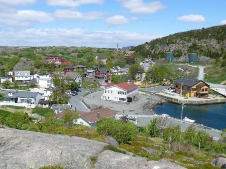 the harbour