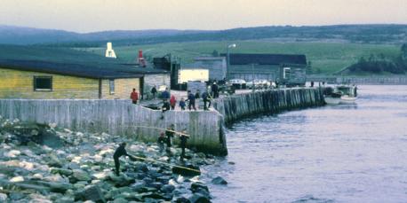 Activity on and around the Wharf 