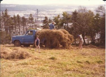 Haymaking in 1980