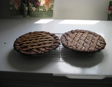 Margaret Decker's lassie tarts: two cooling on the counter, Joe Batt's Arm 