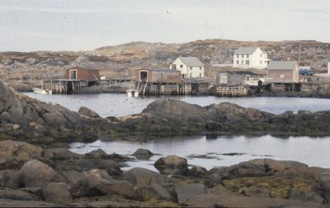 View of Greene's Point from the opposite side of the harbour, Tilting  