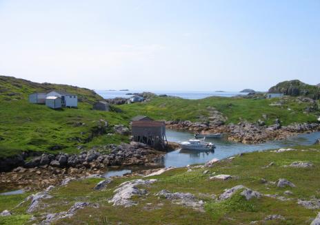 Wadham's Harbour, Little Fogo Island 