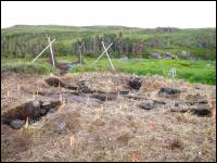 Excavation site looking east