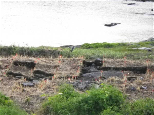 Pigeon Cove excavation site looking west from the hill