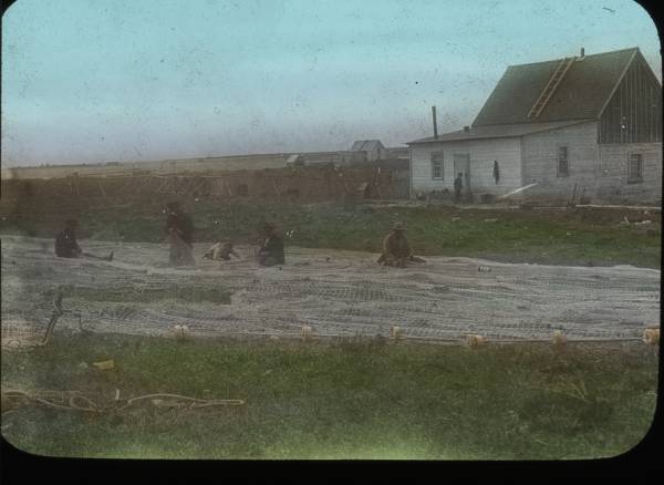 Five men mending large nets, 1915