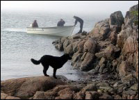 Our mascot, Mickey, and his master Art Luther greeting visitors to our camp in Schooner Cove, North Island 