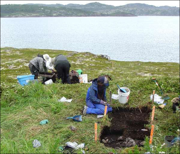 Sifting soil and excavating the first units