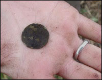 An unusual medallion recovered from a sod house at North Island