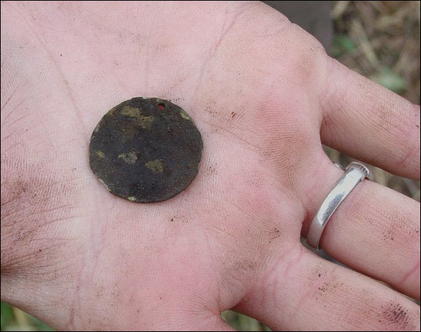 An unusual medallion recovered from a sod house at North Island
