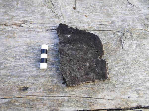 Soap stone lid from Pigeon Cove excavation site