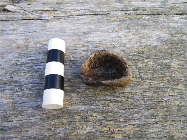 Miniature soap stone lamp from Pigeon Cove excavation site