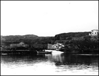 Whale on Slip, Hawk's Harbour, 1948