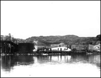 Whale on Slip, Hawk's Harbour, 1941