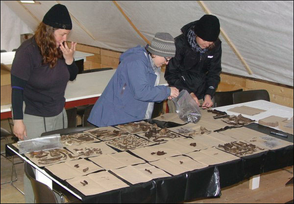 Cataloguing artifacts at Battle Harbour National Historic Site