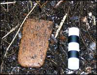 A complete bone handle