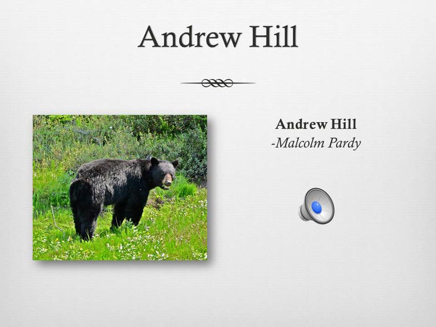 Andrew Hill