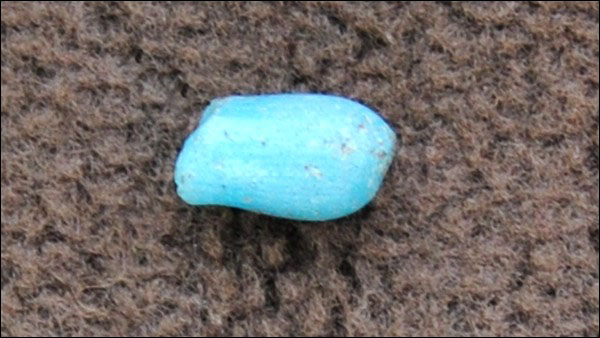 Turquoise bead from House 2, Indian Harbour