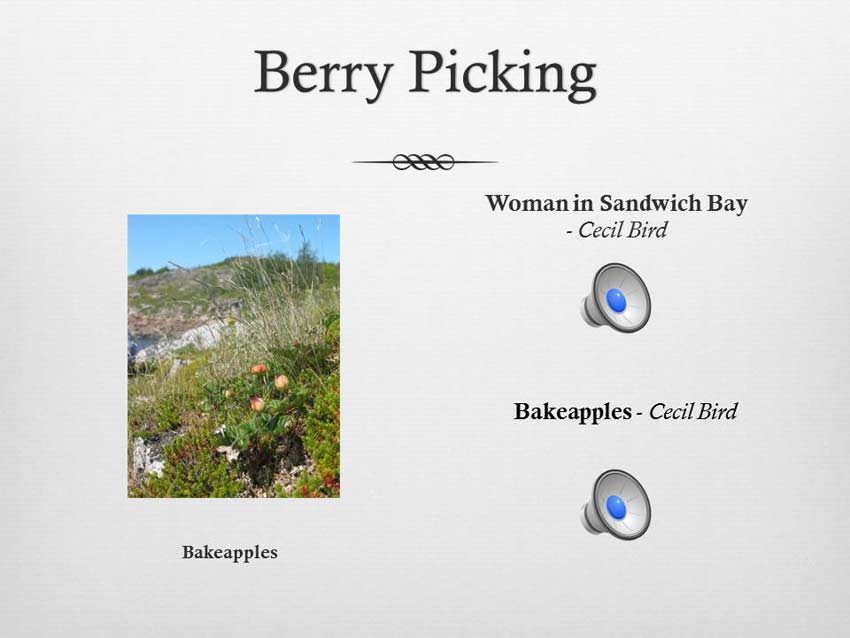 Berry Picking