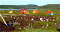 Excavation and Camp