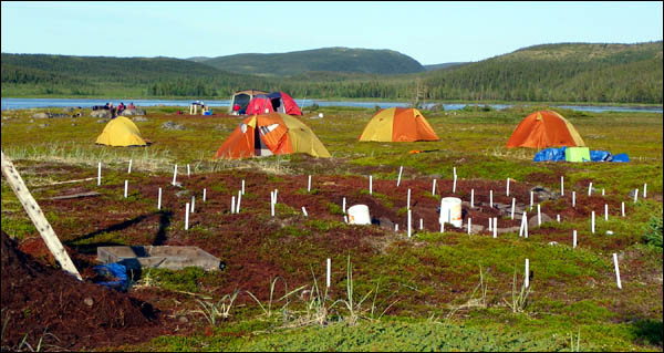 Excavation and Camp