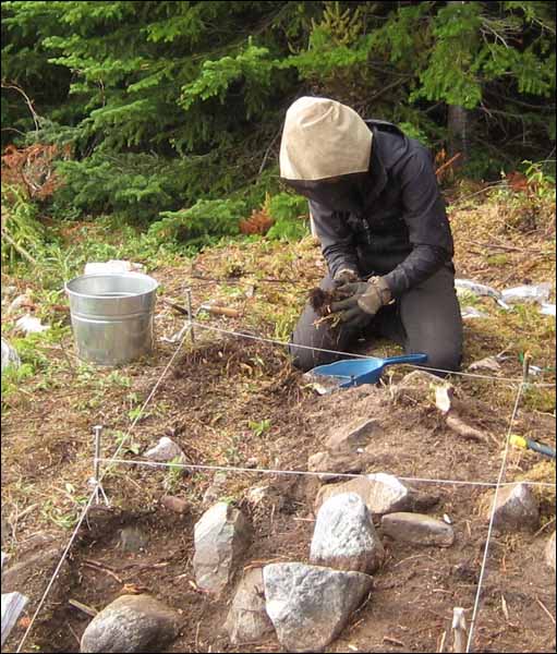 Eliza Brandy's Snooks Cove Archaeological Site