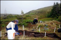 Jennifer Jones and Phoebe Murphy excavating in House 3