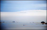 Looking across harbour on a foggy day