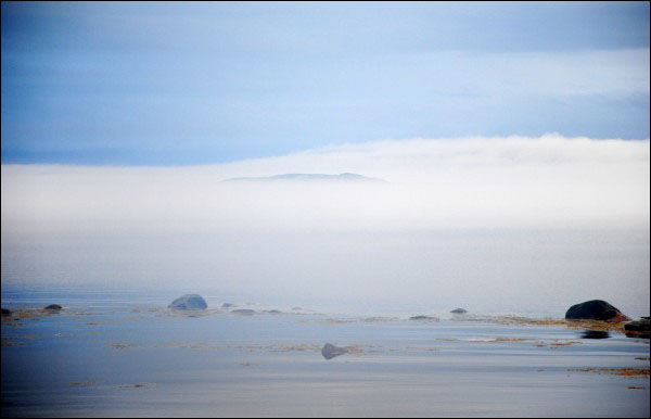 Looking across Indian Harbour on a foggy day, July 2010