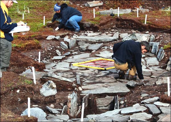 Excavating and recording Inuit sod house at Indian Harbour, 2009