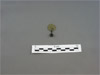 Next Image