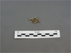 Next Image