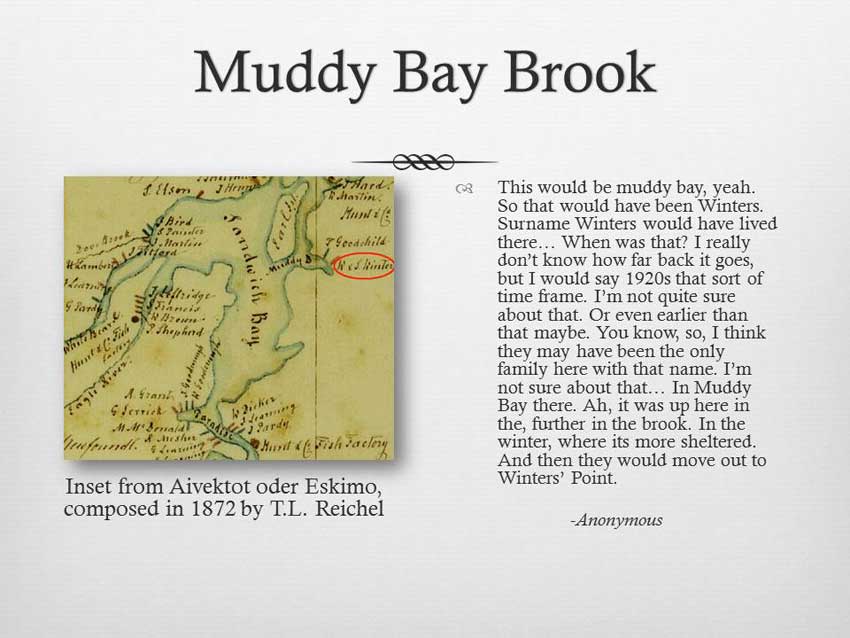 Muddy Bay Brook