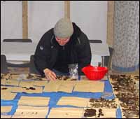 Robyn Fleming cataloguing artifacts