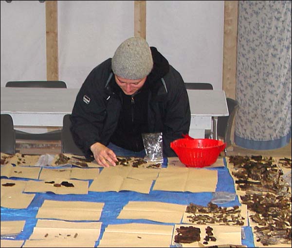 Robyn Fleming cataloguing artifacts