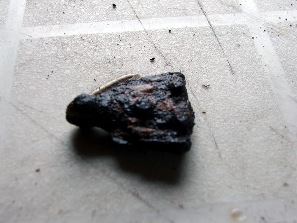 Riveted iron and bone artifact