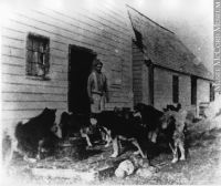 Feeding Husky dogs, Rigolet, Labrador, ca. 1890