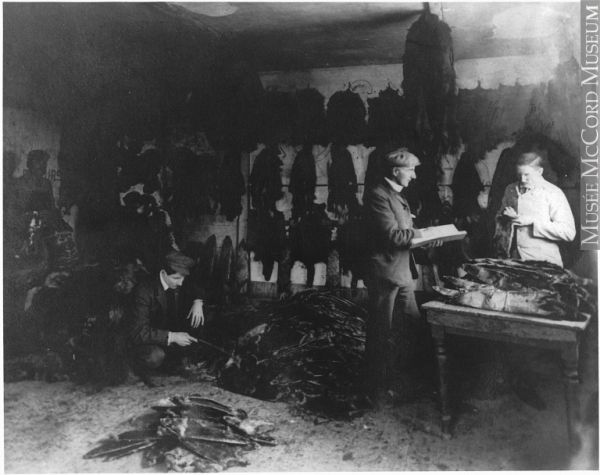 Fur trading post interior, Labrador(?), ca. 1909