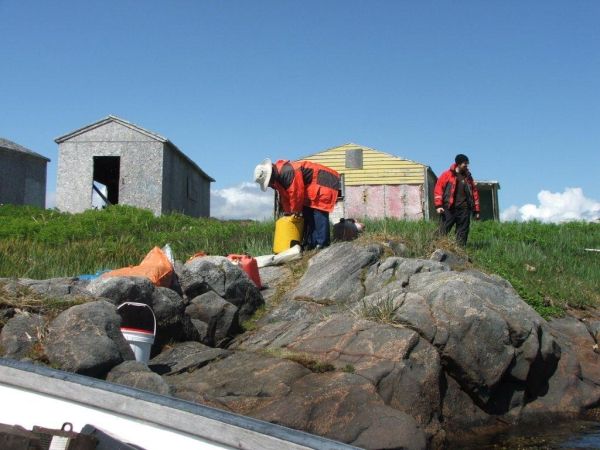 Arriving at the Seal Islands