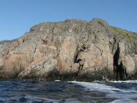 Cape Bluff