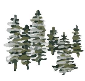 Illustration of spruce trees