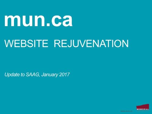Presentation for SAAG on web rejuvenation project.