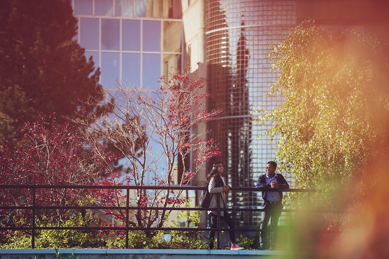 A photograph of a glass-front building, with trees with leaves in fall colours in the foreground. On the right side of the photo, two students are standing, leaning against a metal railing and looking forward.