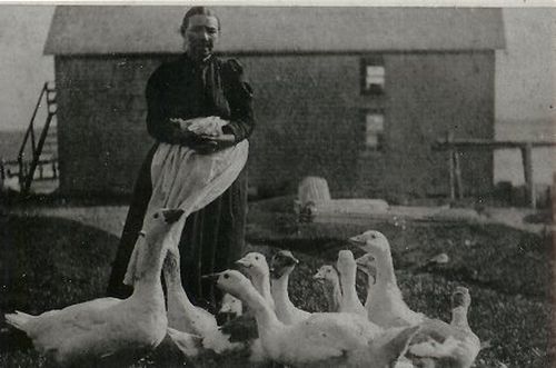 ellen payne with her geese