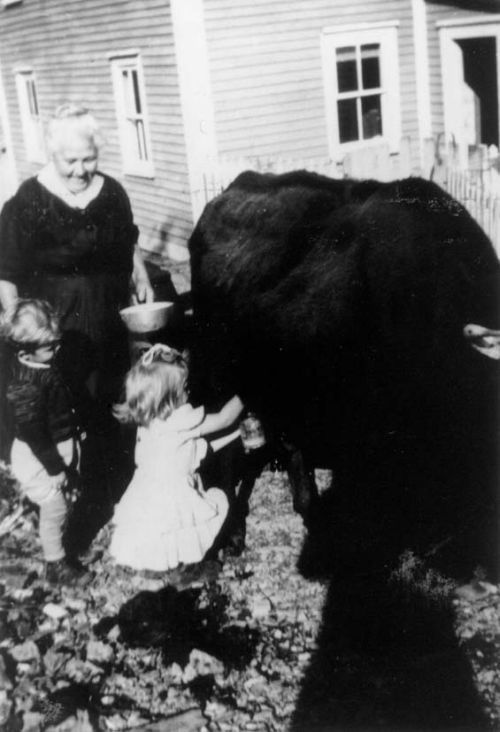 grandmother and grandchildren milking a cow