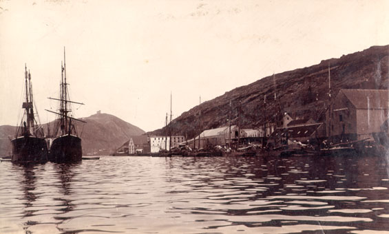 View of Job Brothers & Co. south side premises, St. John's taken from the harbour with two vessels in the foreground
